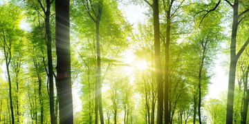 Net-Zero Funding Gap: Sustainability