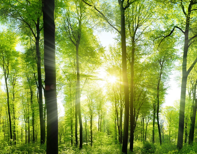 India’s $6.5 Trillion Net-Zero Funding Gap Makes Climate Disclosures a Boardroom Priority: Uniqus Consultech 1 Net-Zero Funding Gap: Sustainability
