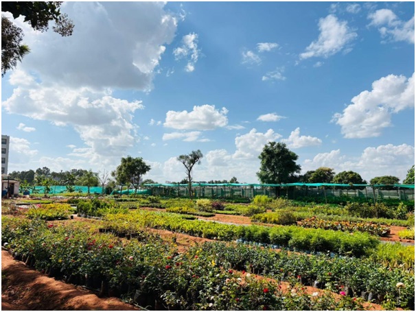 India CSR®